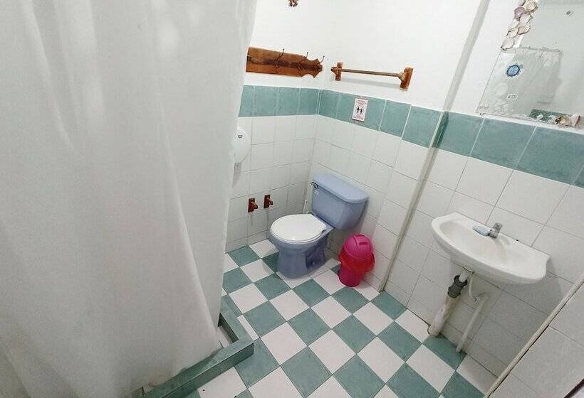 هتل Posada Nativa Lizard House