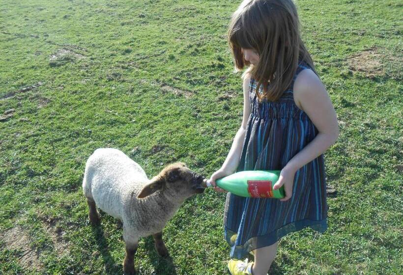 بنسيون La Ferme Des 3 Suissesses