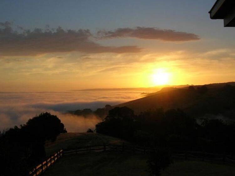 Points South By The Sea