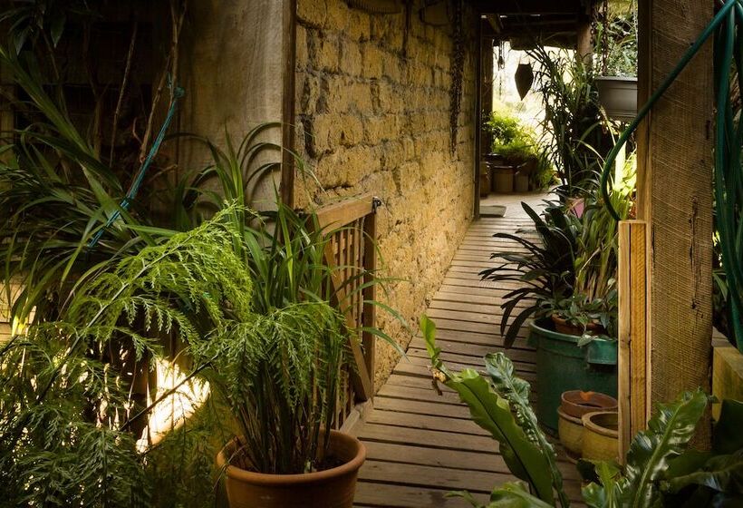 The Burrow At Wombat Bend