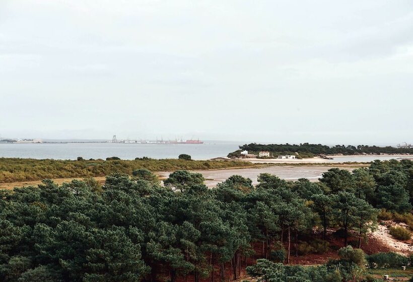 The Editory By The Sea Troia