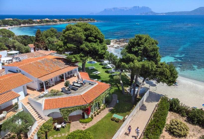 هتل The Pelican Beach Resort & Spa  Adults Only