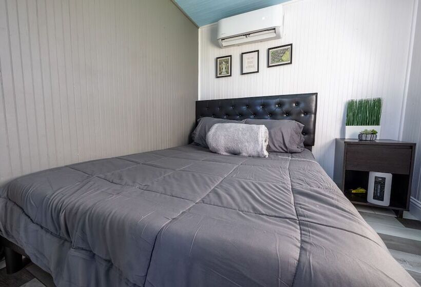 بنسيون The Nest Apt A