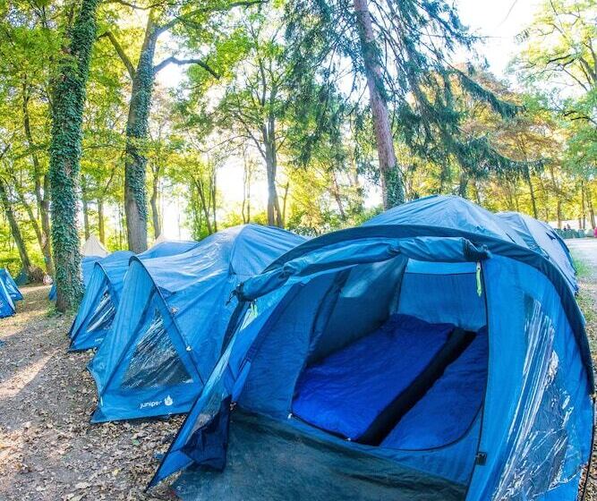 ベッドアンドブレックファースト Oktoberfest On A Budget Camping