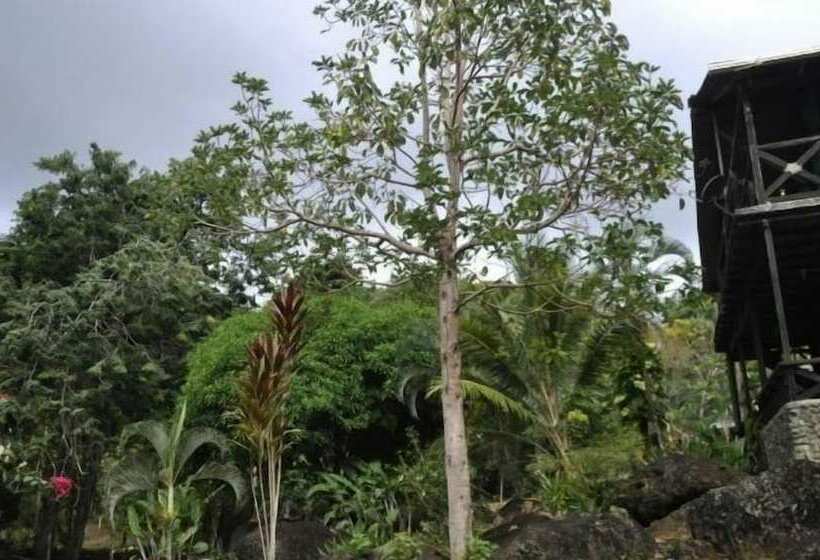 هاستل Acuali Eco Hostal