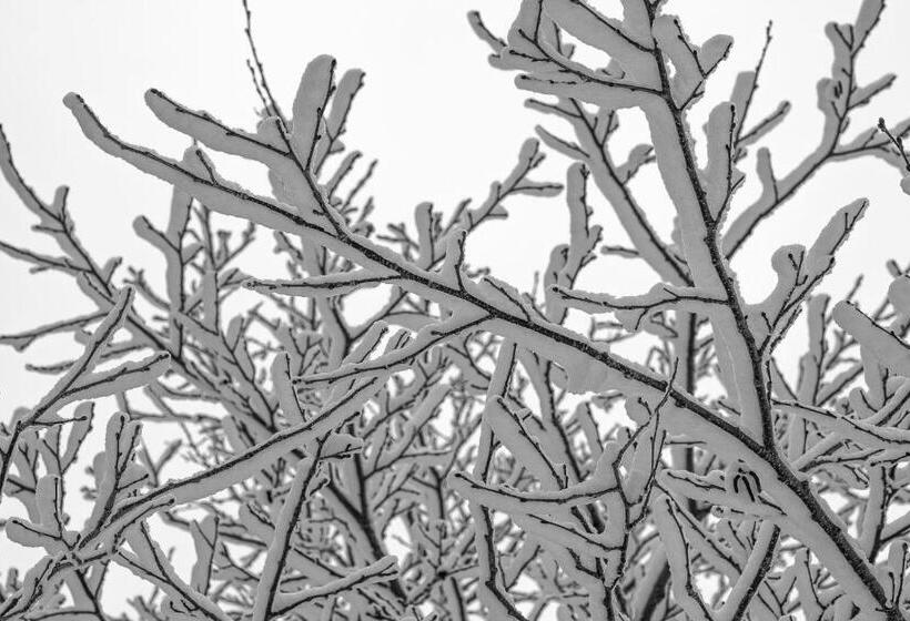 膳宿费 小さな森の貸し切り宿forest House Ranapirica