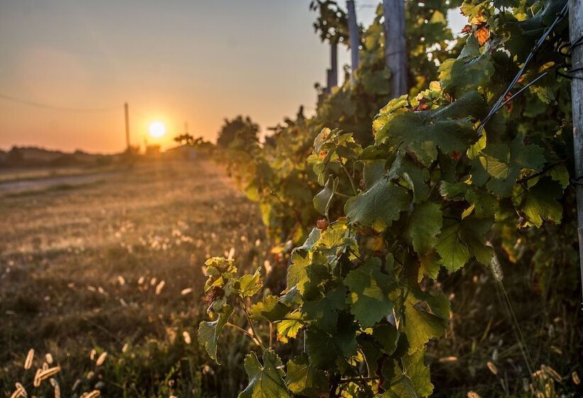 Vandenbeld Wines B&b