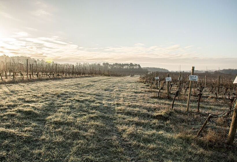 Vandenbeld Wines B&b