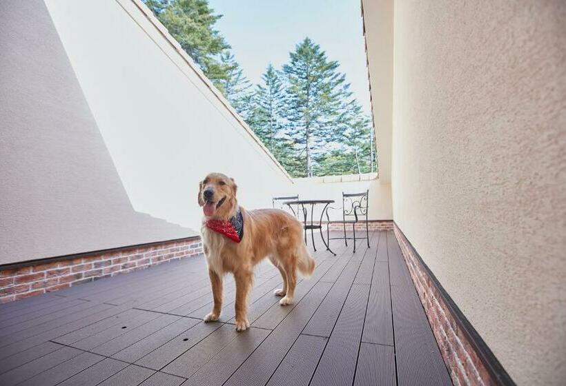 Отель Le Chien Kyukaruizawa