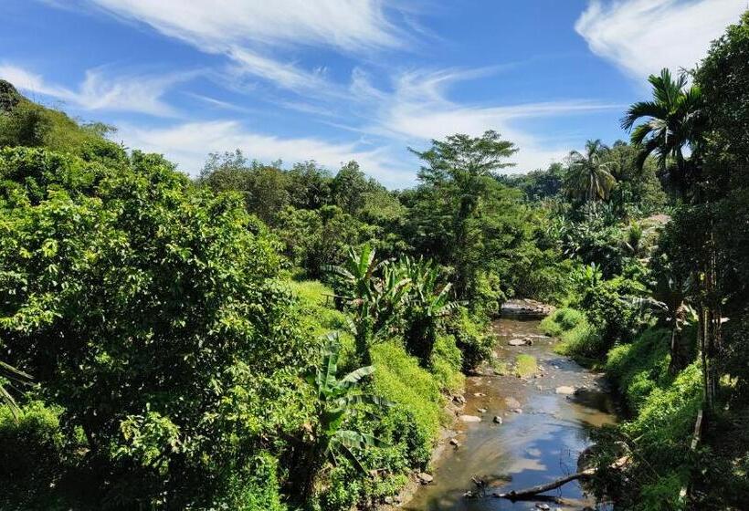 בית מלון כפרי Sayna