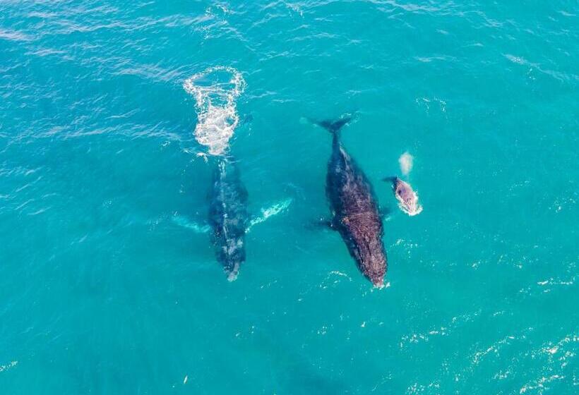בית מלון כפרי Sky Island Resort
