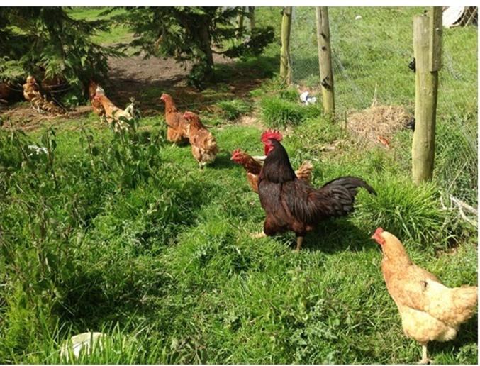 민박 Bradridge Farm