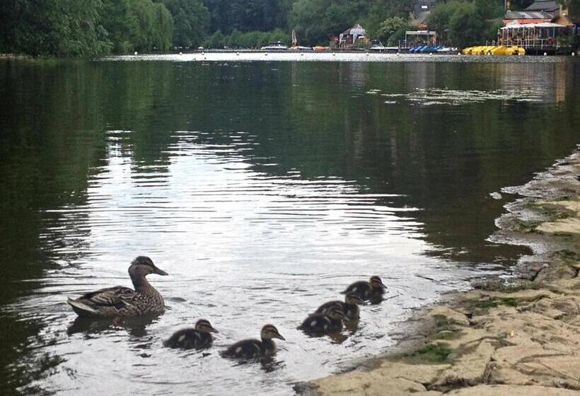 민박 Chambres D Hôtes Du Moulin Du Vey