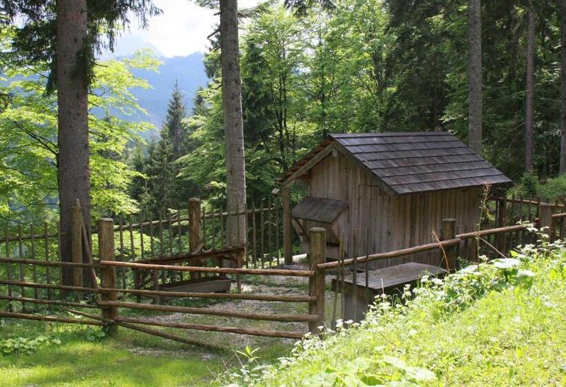 مبيت وإفطار Haus Salzkammergut