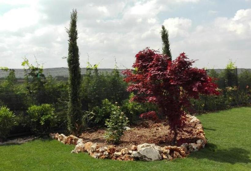 فندق Agriturismo Pigno