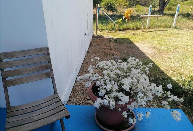 هتل کپسول Campestre La Maria