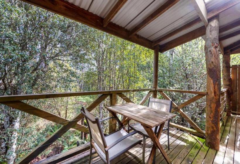 בית מלון כפרי Cradle Forest Inn
