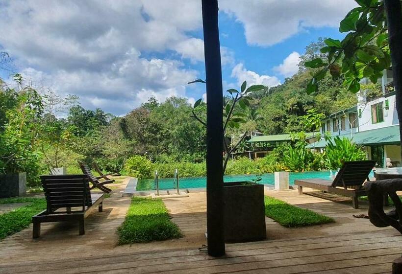 Отель Sinharaja Hostel