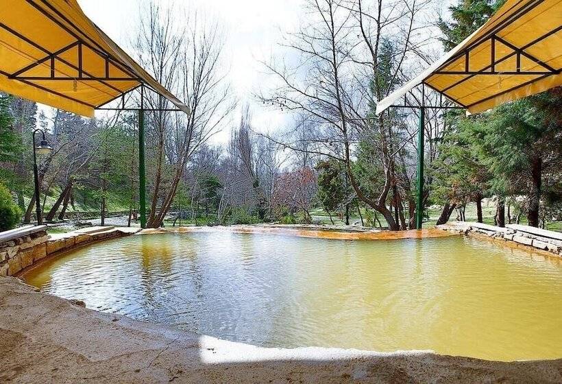 مبيت وإفطار Queen Thermal Resort Hotel & Spa