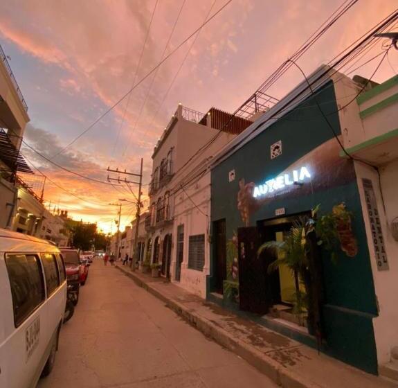 تختخواب و صبحانه Aurelia Compartida Hospedaje