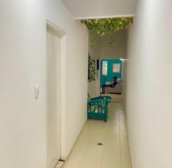 تختخواب و صبحانه Aurelia Compartida Hospedaje