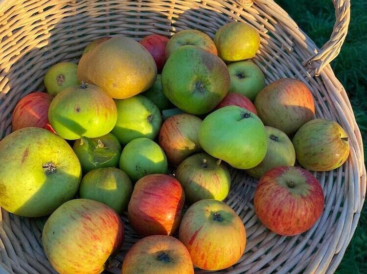 مبيت وإفطار Château La Rametière