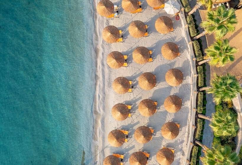 酒店 Caresse, A Luxury Collection Resort & Spa, Bodrum