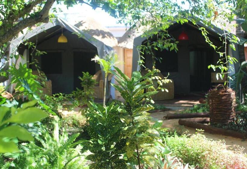 فندق Devocean Eco Adventure Lodge