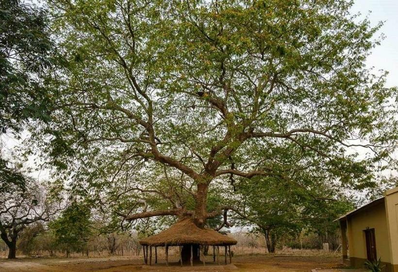 בית מלון כפרי Montebelo Gorongosa Lodge & Safari