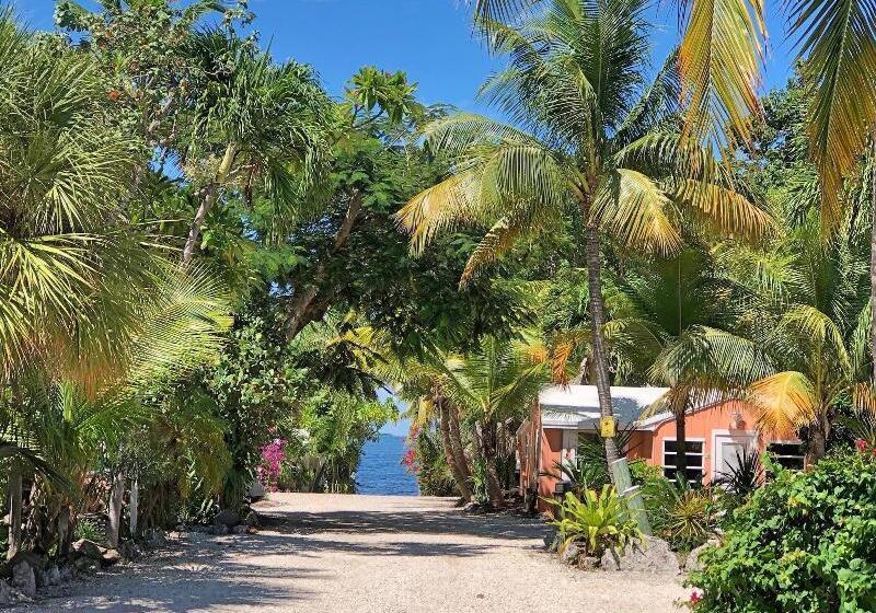 فندق The Pelican Key Largo Cottages