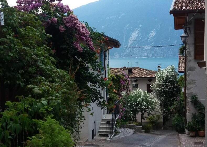 Bed and Breakfast Alice Nel Paese Delle Meraviglie
