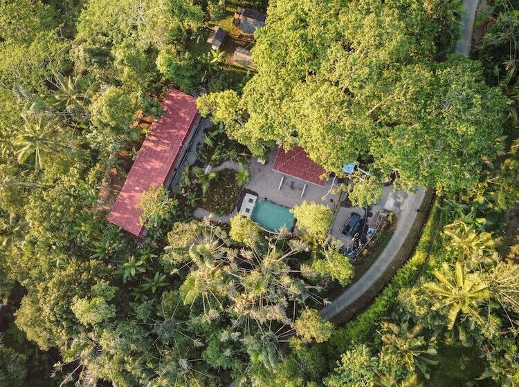 리조트 Daydream Lodge