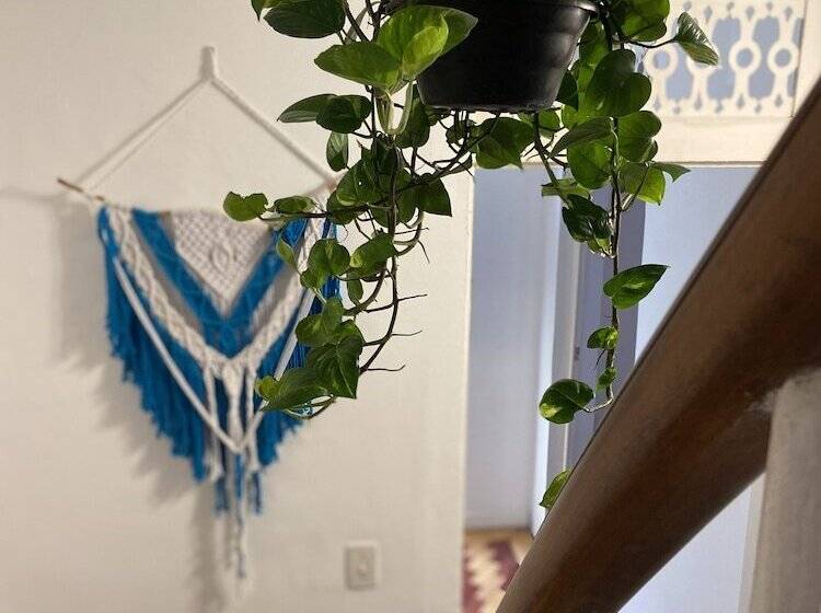 Sunflower Hostel