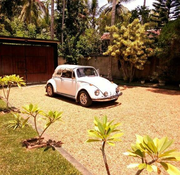بنسيون New Coco Cabana