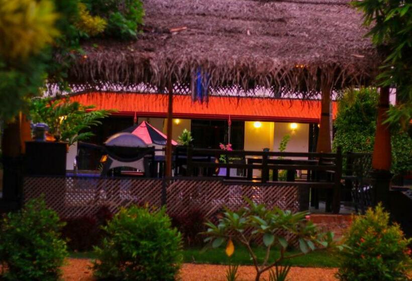 بنسيون New Coco Cabana