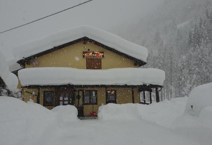 Общежитие Rifugio Alpenrose
