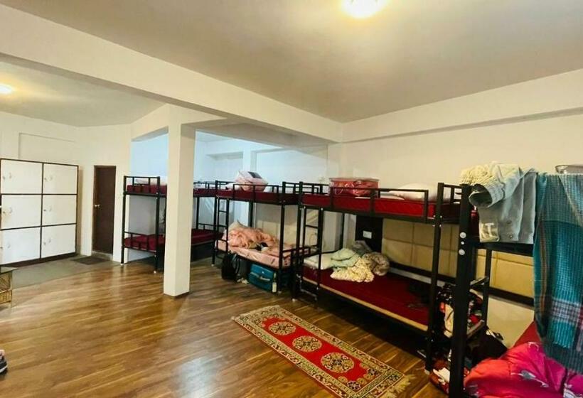هاستل Backpackers Den