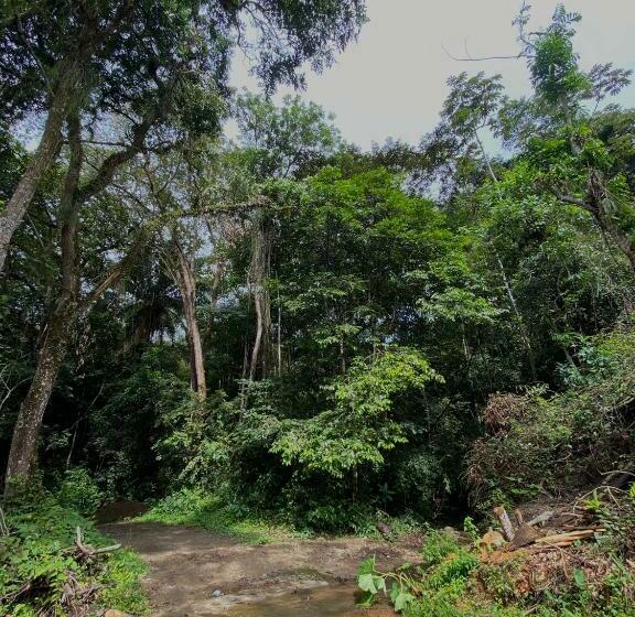 تختخواب و صبحانه Oasis Santuario De Naturaleza