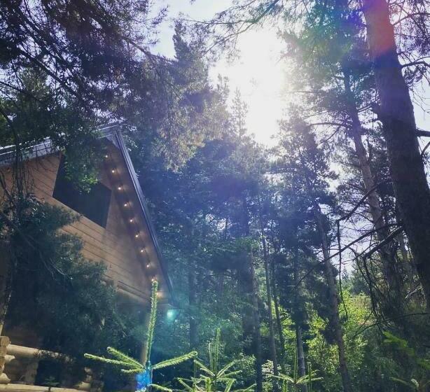 تختخواب و صبحانه Yeghevni Rest House