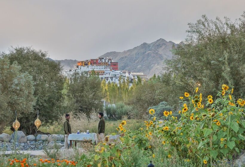 Hotel Chamba Camp Thiksey By Tutc