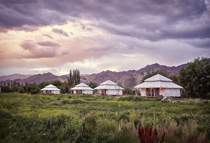 Hotel Chamba Camp Thiksey By Tutc