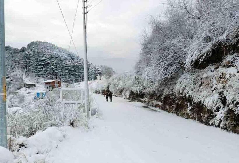 Hotel Dhanolti View By La Riqueza   Welcome New Year With Fresh Snowfall