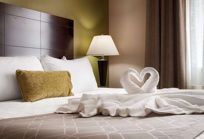 בית מלון כפרי Best Western Plus Havre Inn & Suites