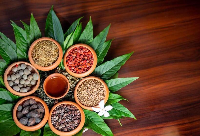 ホテル Celestia Ayurveda Resort