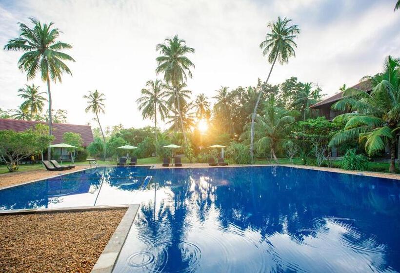 ホテル Celestia Ayurveda Resort