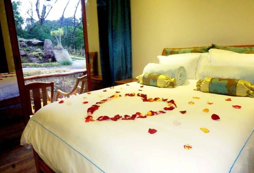 ペンション Casa Spa Room With Tub, Spa Services And Turkish Bath No123