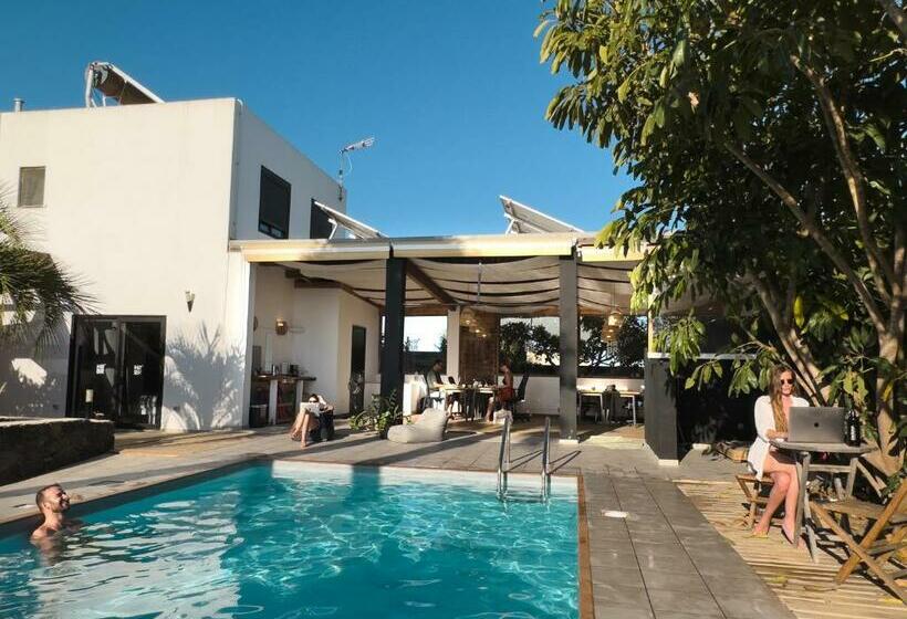 فندق صغير Creative Harbour Fuerteventura