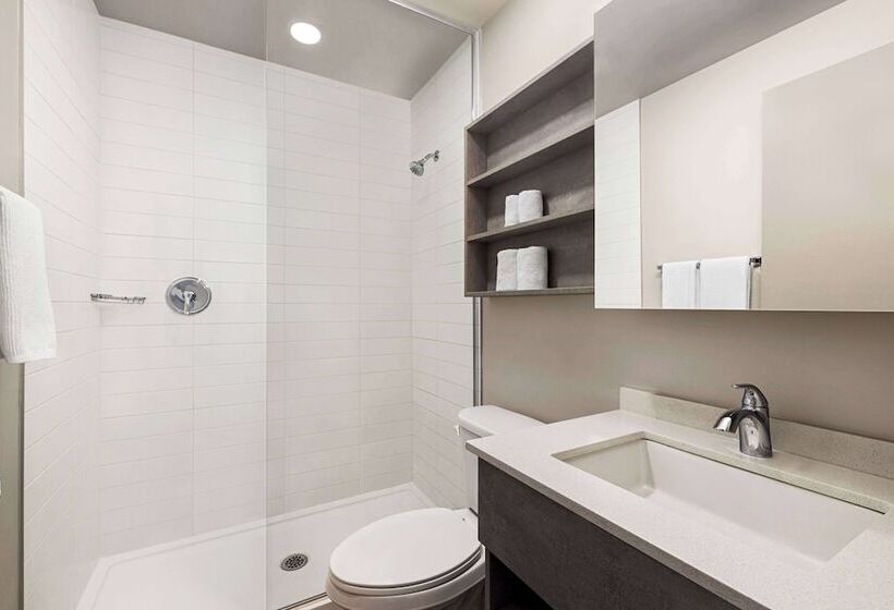 Microtel Inn & Suites By Wyndham Boisbriand