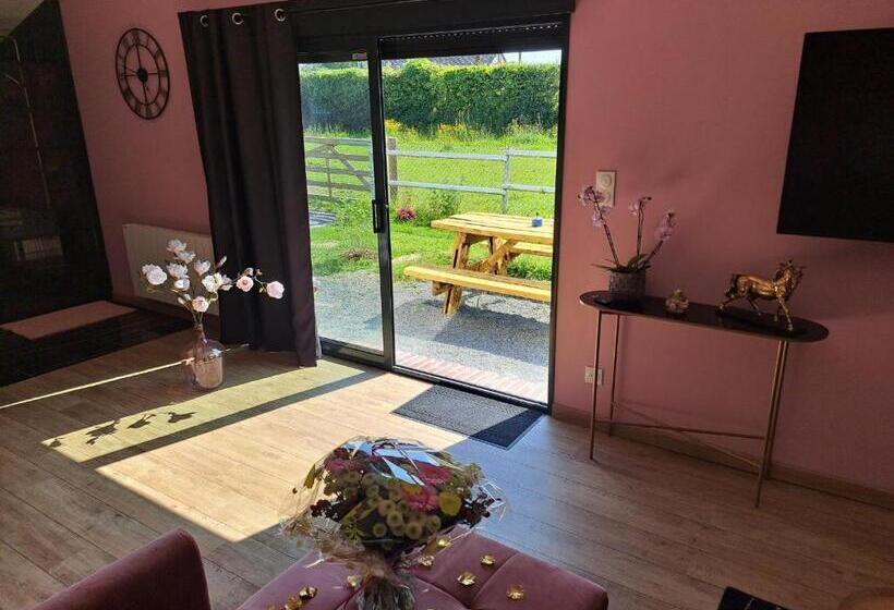 بنسيون La Suite D élise