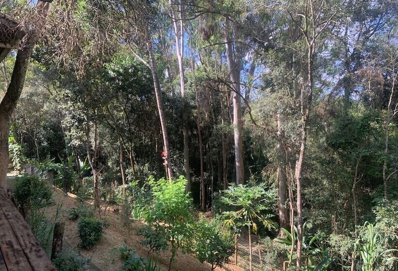 ユースホステル Pousada E Restaurante Casinha Velha